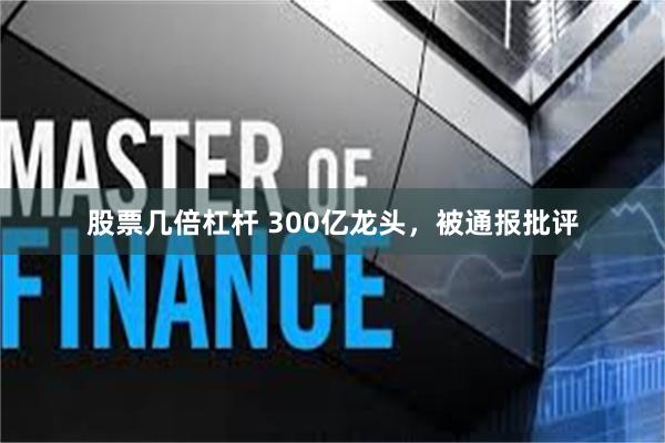 股票几倍杠杆 300亿龙头，被通报批评