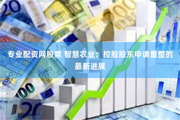 专业配资网股票 智慧农业：控股股东申请重整的最新进展