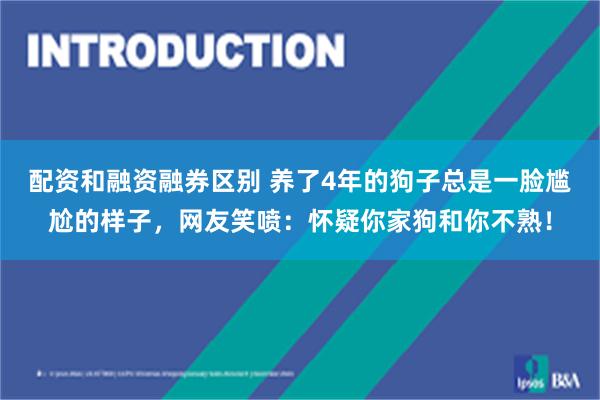 配资和融资融券区别 养了4年的狗子总是一脸尴尬的样子，网友笑喷：怀疑你家狗和你不熟！