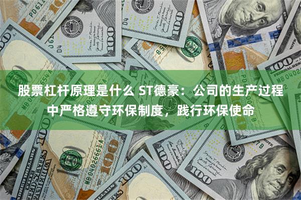股票杠杆原理是什么 ST德豪：公司的生产过程中严格遵守环保制度，践行环保使命