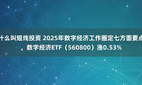 什么叫短线投资 2025年数字经济工作圈定七方面要点，数字经济ETF（560800）涨0.53%