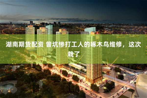 湖南期货配资 曾坑惨打工人的啄木鸟维修，这次栽了