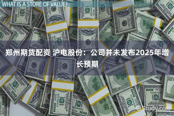 郑州期货配资 沪电股份：公司并未发布2025年增长预期