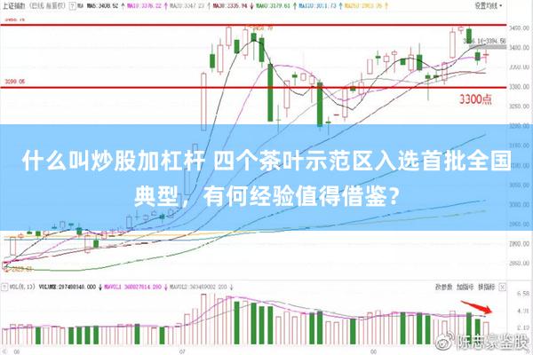 什么叫炒股加杠杆 四个茶叶示范区入选首批全国典型，有何经验值得借鉴？