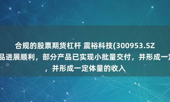 合规的股票期货杠杆 震裕科技(300953.SZ)：机器人产品进展顺利，部分产品已实现小批量交付，并形成一定体量的收入