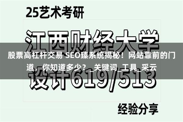 股票高杠杆交易 SEO臻系统揭秘！网站靠前的门道，你知道多少？_关键词_工具_采云