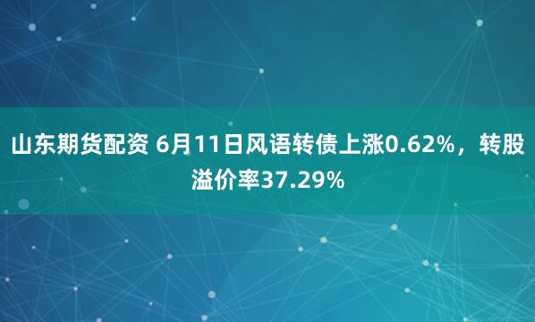 山东期货配资 6月11日风语转债上涨0.62%，转股溢价率37.29%