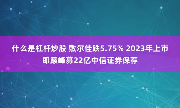 什么是杠杆炒股 敷尔佳跌5.75% 2023年上市即巅峰募22亿中信证券保荐