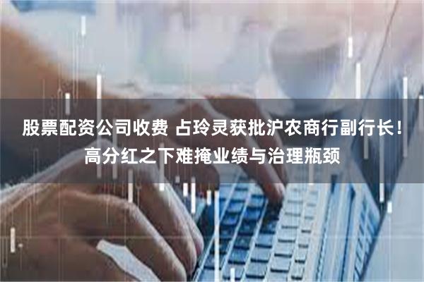 股票配资公司收费 占玲灵获批沪农商行副行长！高分红之下难掩业绩与治理瓶颈